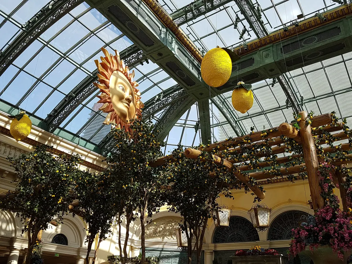 A display under the conservatory's glass roof